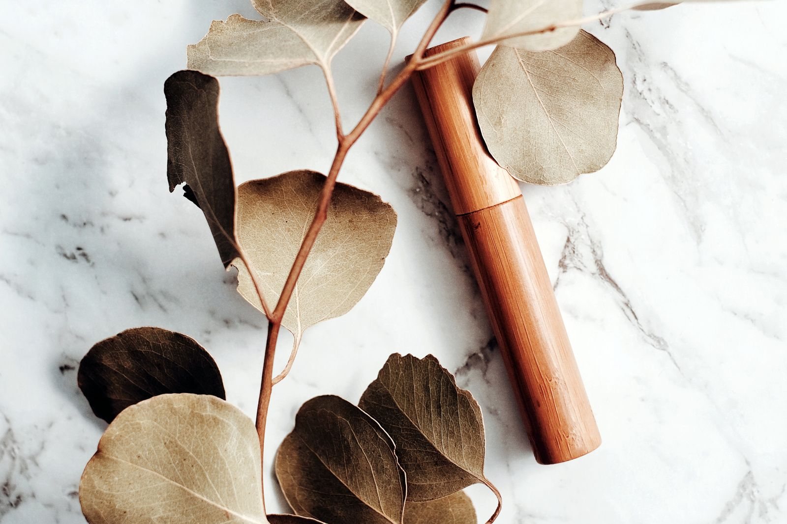 Un mascara dans un étui en bambou posé sur un marbre blanc veiné de gris, à côté d’une branche d’eucalyptus aux feuilles séchées