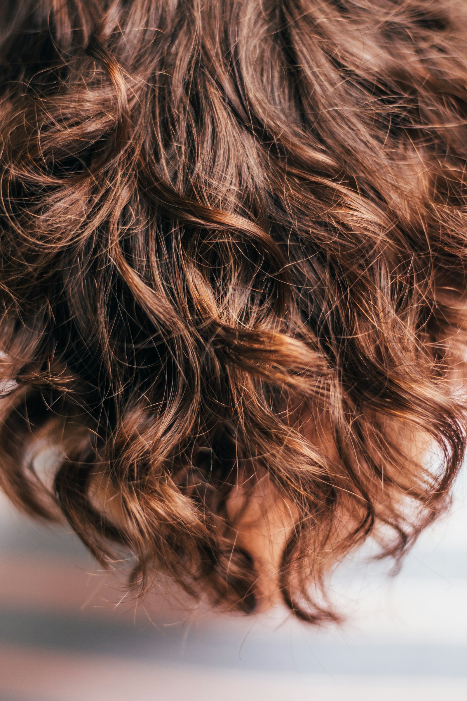 Gros plan sur des cheveux bruns et noirs aux textures différentes