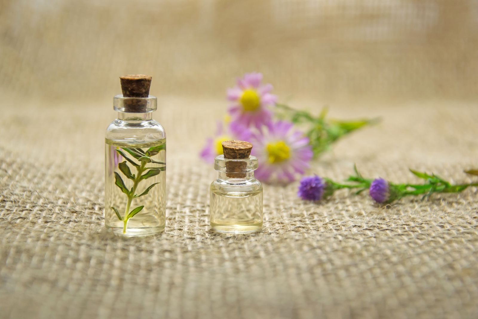 Deux petits flacons de verre fermés par un bouchon de liège, l’un contenant un brin de plante, posés sur une toile de jute près de fleurs mauves