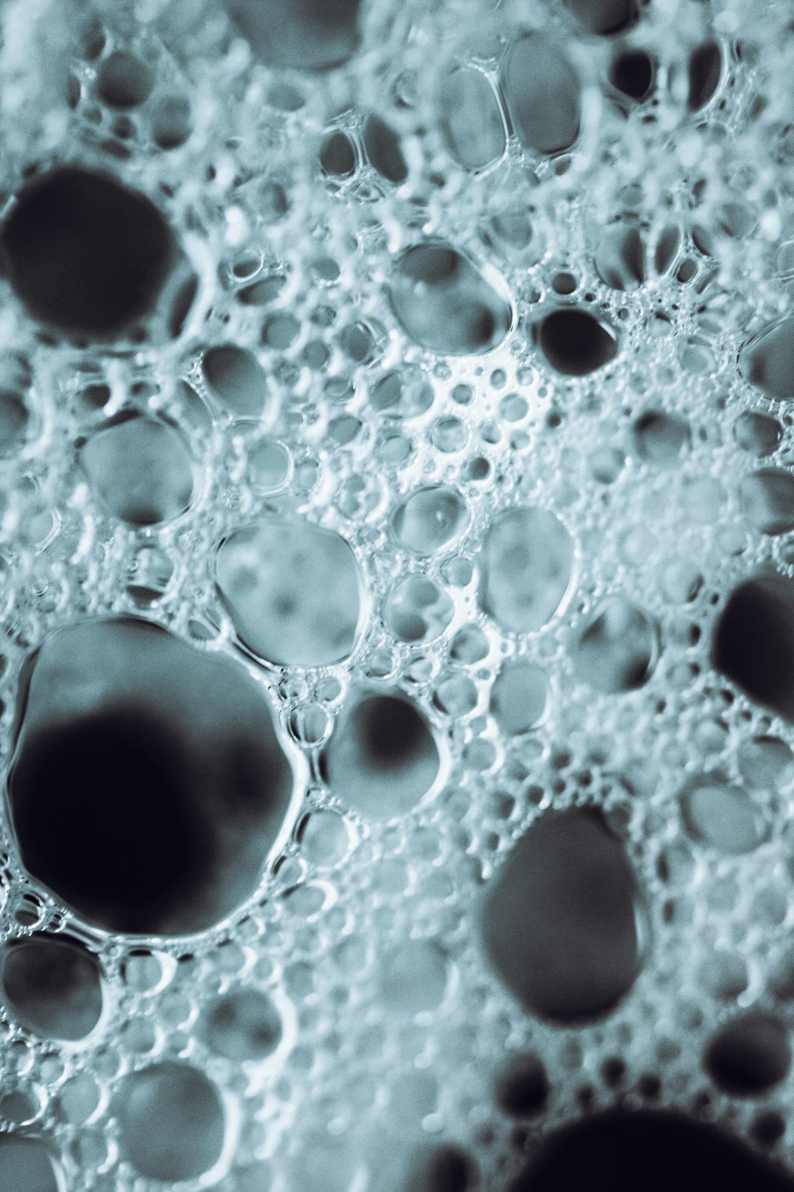 Macrographie d’une mousse : bulles serrées de tailles inégales